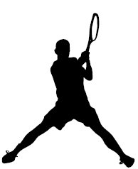 What Is Ad Court In Tennis? Definition & Meaning On SportsLingo