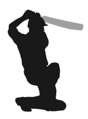 What Is A Cross Bat In Cricket? Definition & Meaning On SportsLingo