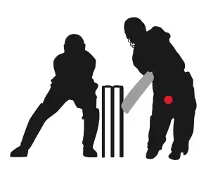 What Is An All-Rounder In Cricket? Definition &