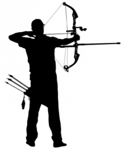 What Is A Vane In Archery? Definition & Meaning On SportsLingo.com