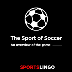 Soccer Basics - An Overview Of Soccer On SportsLingo