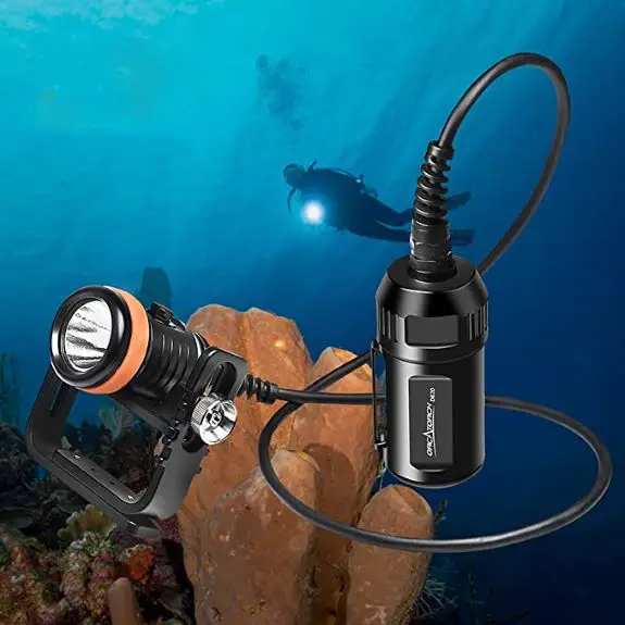 17 Of The Best Dive Lights For Night Diving & Underwater Adventures