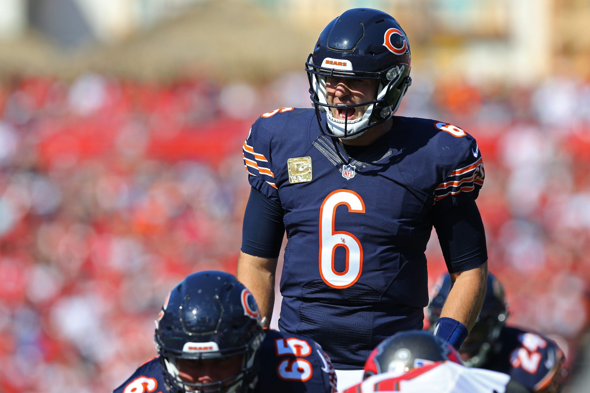 What Is Jay Cutler'S Net Worth 2024 Margy Cherilynn
