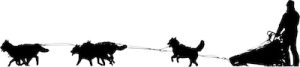 What Is A Swing Dog In Dog Mushing? Definition & Meaning On SportsLingo