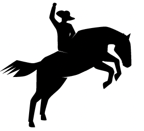 What Is Bronc Riding In Rodeo? Definition & Meaning | SportsLingo